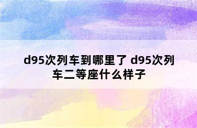 d95次列车到哪里了 d95次列车二等座什么样子